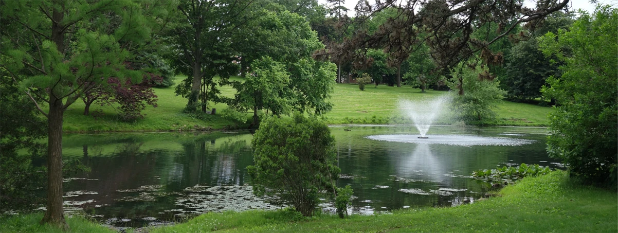 Passion Puddle