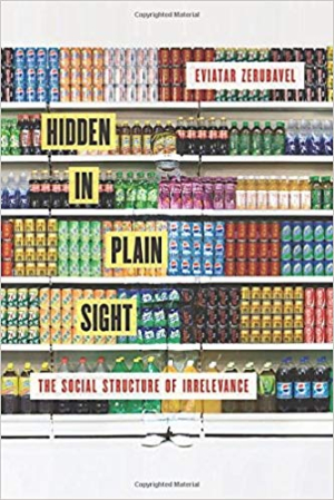 Hidden in Plain Sight: The Social Structure of Irrelevance