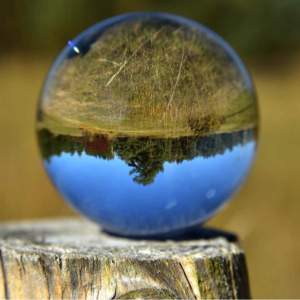 Environment and Sustainability