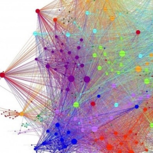 Organizations, Networks, and Work